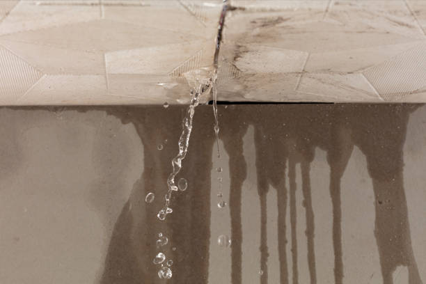 Professional Burst Pipe Cleanup technician working in North Port, FL
